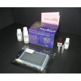 花生四烯酸5脂加氧酶試劑盒_上海豐壽實業