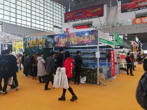 上海哲鄭實業 射擊游戲給你絕對刺激 智能游樂 相聚義烏