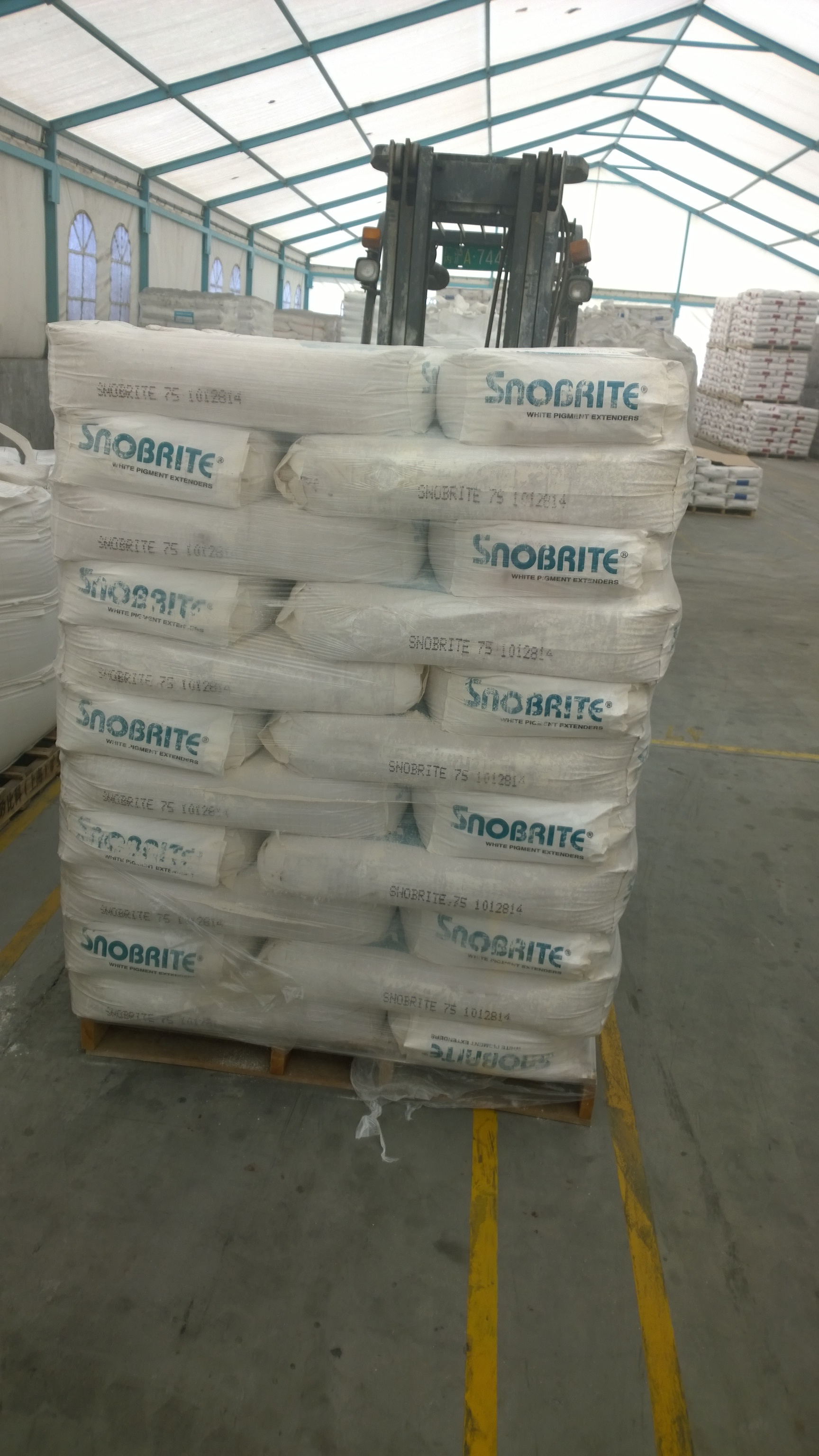 善貞實業(上海)