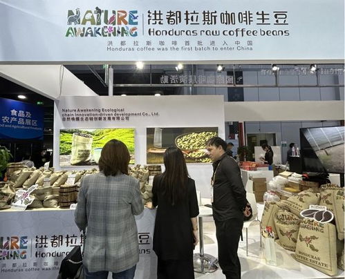 進(jìn)博會多項(xiàng)規(guī)模創(chuàng)新高,朋友圈不斷擴(kuò)大 讓世界共享中國大市場機(jī)遇